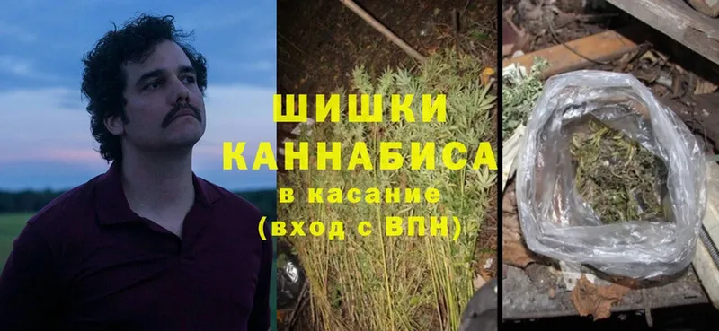 цены   Александров  Канабис OG Kush 